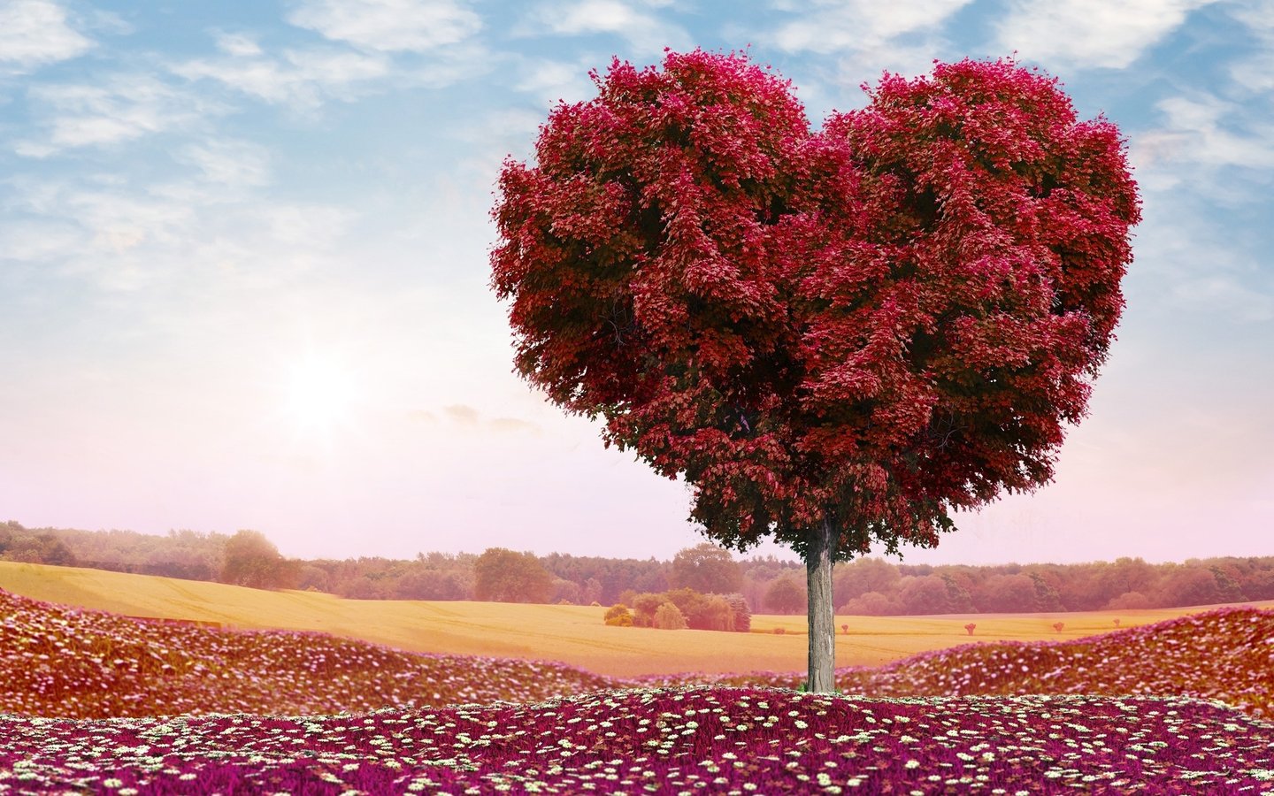 一起来走进今天的节目.